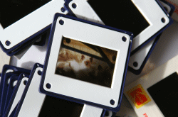 Slides scanned and restored